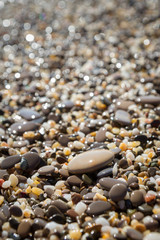 Sea stones on the seashore in the summer