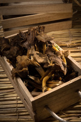 chanterrele mushrooms in a crate on straw background