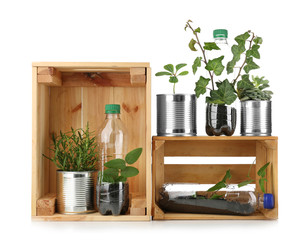 Composition with cans and bottles used as containers for growing plants on white background