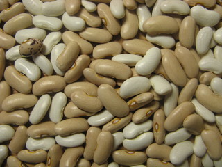 Kidney beans. White and brown.