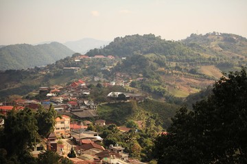 Fototapeta premium Doi mae salong chiang rai