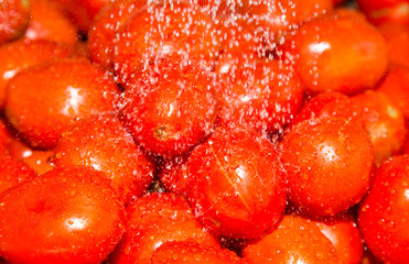 Red tomatoes in water drops as background