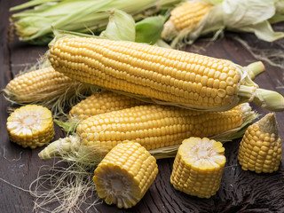 Ear of maize or corn on the dark wooden background.