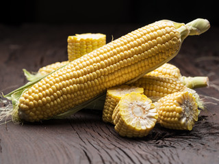 Ear of maize or corn on the dark wooden background.