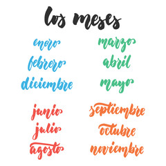 Los meses - months in spanish, hand drawn latin lettering quote isolated on the white background. Fun brush ink inscription for greeting card or poster design. © tumana_net