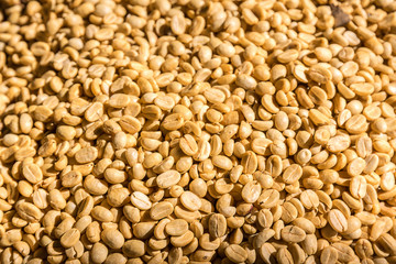 Fototapeta premium coffee beans, close up
