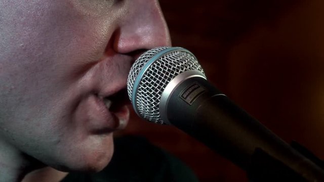 Portrait handsome musician singing song in microphone on rock consert at stage