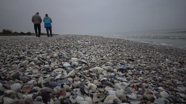 A wide beach on the Black Sea coast, people walk along a wide bea