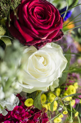 Kunterbunte Blumen, als Schnittblumen, Strauss und im Garten