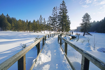 Obraz premium Winterlandschaft