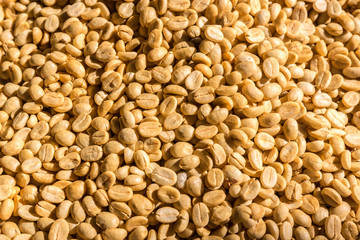 Yellow coffee beans, close up