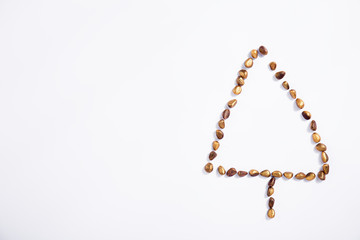 Composed Christmas tree with nuts