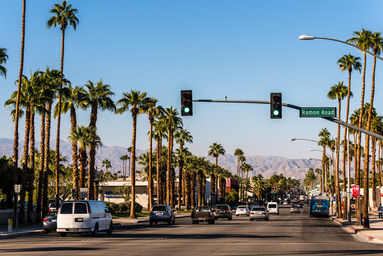 Straße mit Palmen in Palm Springs
