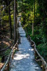 Fototapeta premium Concrete Pathway