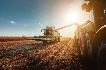 Crédence de cuisine en verre imprimé Tracteur Récolte en automne