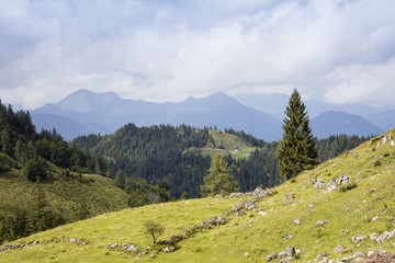 Landschaft am Kaisergebirge, Tirol, Österreich, Europa