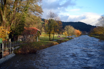 Goldener Herbst an der Dreisam