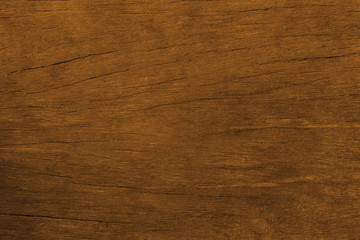 Fototapeta premium closeup of wood texture