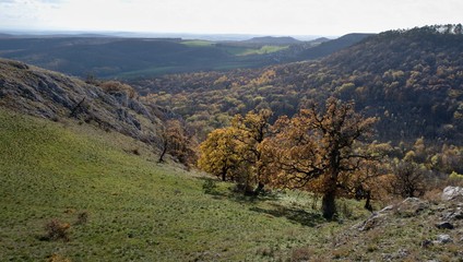 Souteska gorge in Palava hills in South Moravia in the Czech Republic
