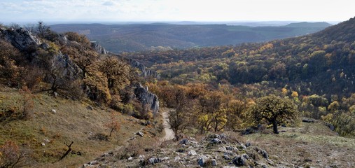 Souteska gorge in Palava hills in South Moravia in the Czech Republic