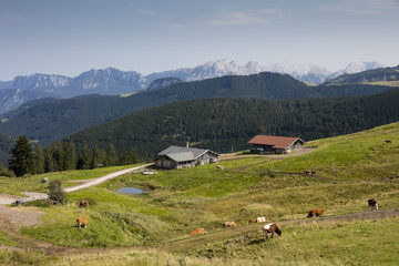 Fototapeta na wymiar Almen, Alpenlandschaft, Chiemgau, Oberbayern, Bayern, Deutschland, Europa