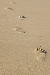 Fototapeta na wymiar Foot steps in the sand