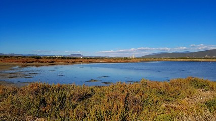 Pond in autumn in a sunny day