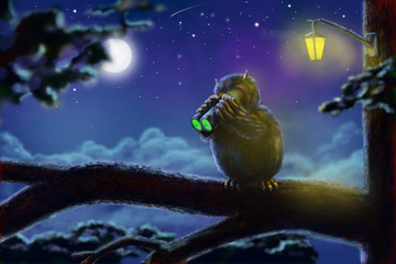 fun owl hunter with night vision device