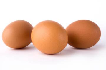 eggs on white background
