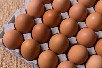 Fresh organic eggs