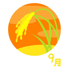 9月　稲刈り