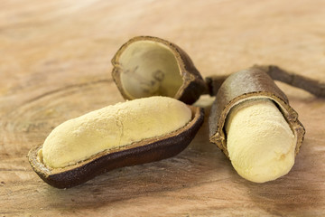 open jatoba fruit and seed - seecourbaril or brazilian copal