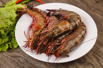 Raw big tiger prawn