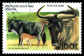 Postage stamp. Blue Wildebeest.