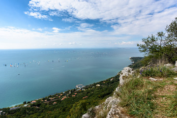 Trieste karst plants. Looking to the sea