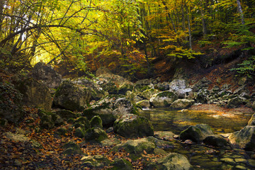 autumn landscape on the mountain river Kokkozka, clear water and colorful leaves, a fantastic natural picture