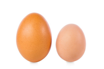 zwei hühnereier, eines von einer jungen henne