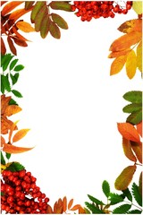 Beautiful vertical autumn frame made from colorful leaves and rowan berries.  Mock up, copy space