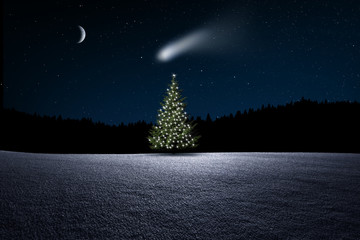 Weihnachtsbaum im Wald bei Nacht