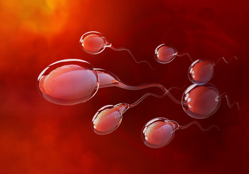 Spermatozoa rush to victory. Movement through the fallopian tubes. 3D illustration on medical research