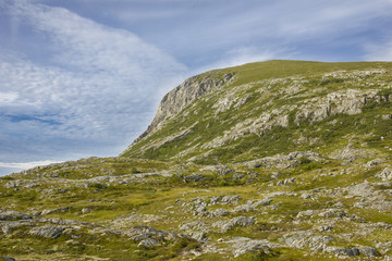 Grüner Gipfel