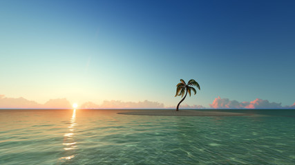 One palm tree on sunset island 3D render