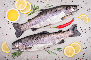 Fresh fish. Trout with salt, lemon and spices on gray background. Cooking fish with herbs. Top view