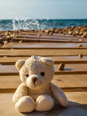 Teddy bear sitting on the beach at sunset on a background of ocean waves. Lovely teddy bear sits on the beach.
