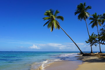 The Punta Popy beach, Las Terrenas, Dominican Republic, carribean, America