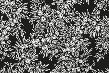 Juniper tree vector seamless pattern. Hand drawn illustration branch with berries on black background.