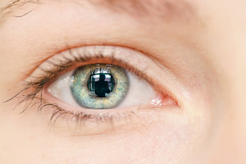 Green eye girl macro