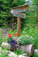 Tourist road signs in the woods, Veitsch, Austria