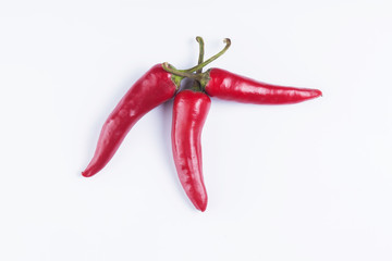 chili pepper isolated