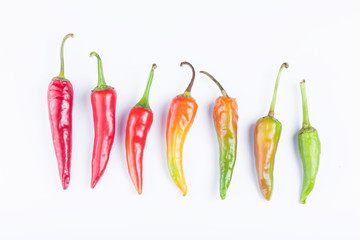 chili pepper isolated